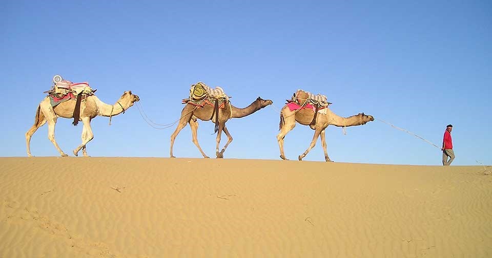 Authentic Bedouin Experience at Sfinat Hamidbar